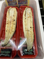 白燒鰻魚(約140g)-每條<日本愛知產>