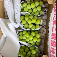 日本山梨香印提子