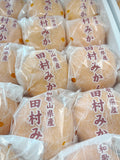 時令推介! 和歌山田村蜜柑禮盒