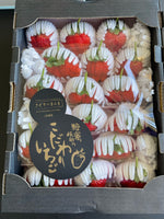 日本熊本菊池糖蜜士多啤梨禮盒 (21-24粒裝)