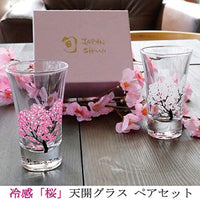 Marumo Takagi Cold-sensing Cherry Blossom Water Glass Set