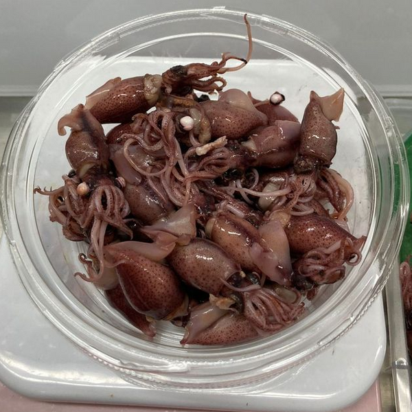 熟螢光魷魚仔 -- 三板 Boiled Firefly Squid