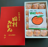 時令推介! 和歌山田村蜜柑禮盒
