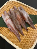特大日本鮮魷魚-- 每隻
