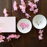 Marumo Takagi Cold-sensing Cherry Blossom Shirahira Cup Set
