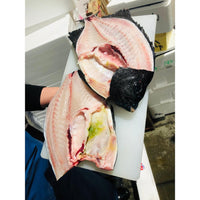 鮮石垣鯛 -- 每公斤
