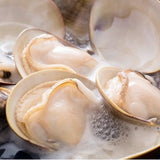 鮮地蛤 (文蛤) / 大蜆-- 每500g Common orient clam