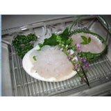 鮮去殻白蝦肉 (富山産) -- 每盒 Peeled Glass shrimp