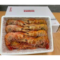 刺身牡丹蝦 -- 每公斤